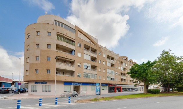 Apartment - Resale - Torrevieja - Torrevieja Centro