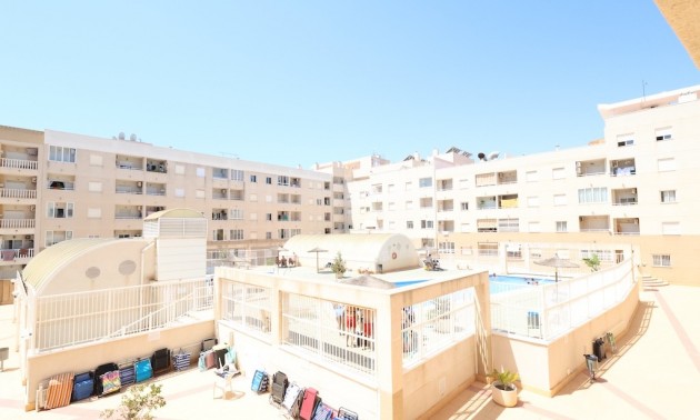 Apartment - Resale - Torrevieja - Torrevieja