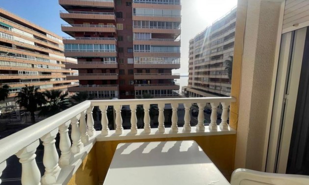 Apartment - Resale - Torrevieja - Torrevieja