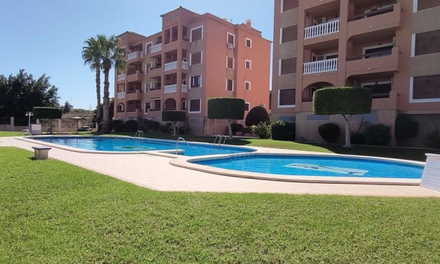 Apartment - Resale - Villamartin - CSPE-63850