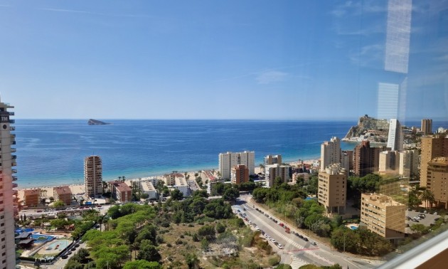 Apartment - zum Verkauf - Benidorm - CSPX-69835
