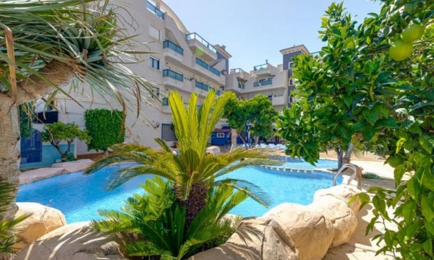 Apartment - zum Verkauf - Cabo Roig - Cabo Roig