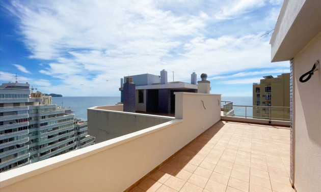 Apartment - zum Verkauf - Calpe - Calpe Centro