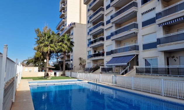 Apartment - zum Verkauf - Guardamar Del Segura - CSPG-86460