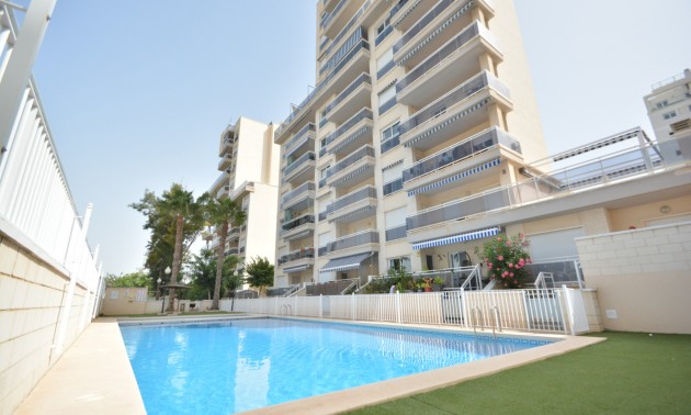 Apartment - zum Verkauf - Guardamar Del Segura - Guardamar del Segura Centro
