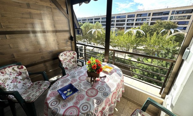 Apartment - zum Verkauf - Guardamar Del Segura - Guardamar del Segura Centro