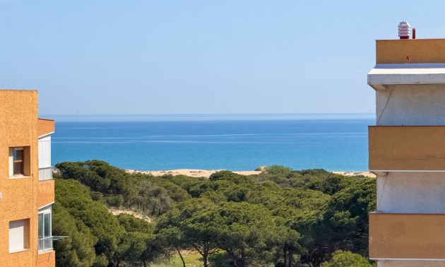 Apartment - zum Verkauf - Guardamar Del Segura - Guardamar del Segura Centro