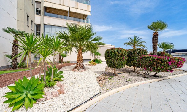 Apartment - zum Verkauf - Los Dolses - Los Dolses