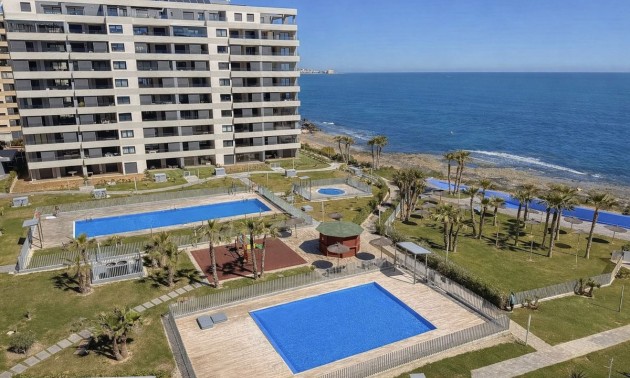 Apartment - zum Verkauf - Punta Prima - CSPX-60925