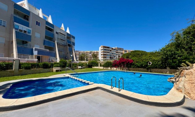 Apartment - zum Verkauf - Torrevieja - CSPX-58259