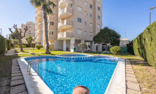 Apartment - zum Verkauf - Torrevieja - Torrevieja Centro