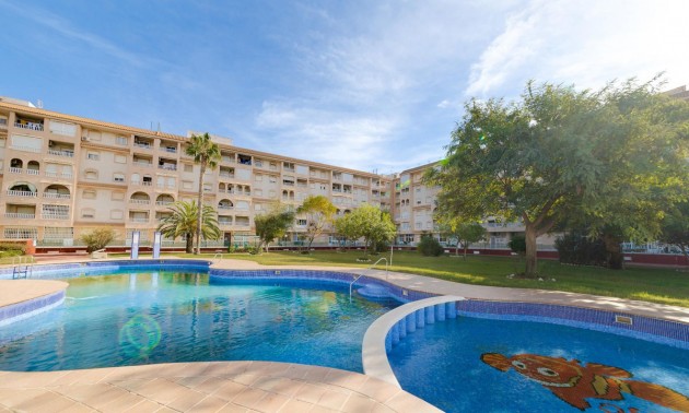 Apartment - zum Verkauf - Torrevieja - Torrevieja Centro