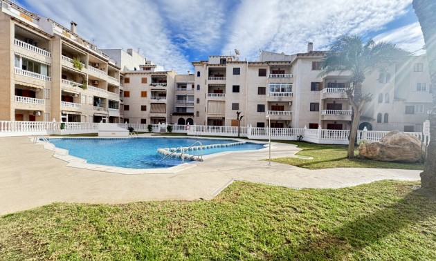 Apartment - zum Verkauf - Torrevieja - Torrevieja