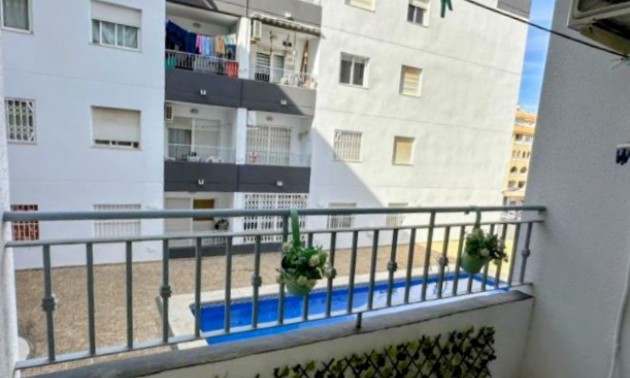 Apartment - zum Verkauf - Torrevieja - Torrevieja