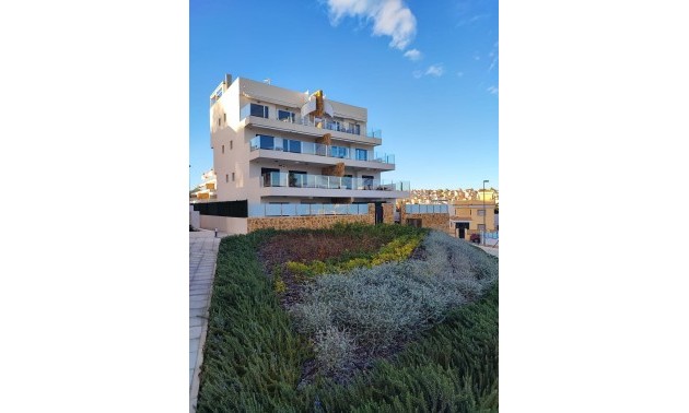 Apartment - zum Verkauf - Villamartin - Villamartin