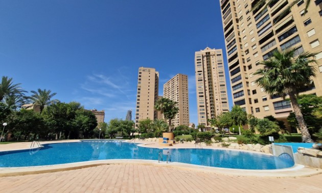 Appartement - A Vendre - Benidorm - Benidorm Centro