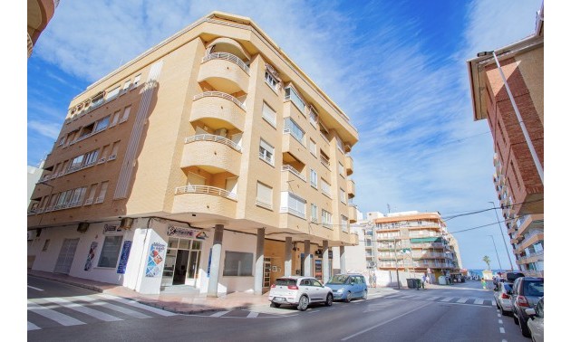 Appartement - A Vendre - La Mata - La Mata
