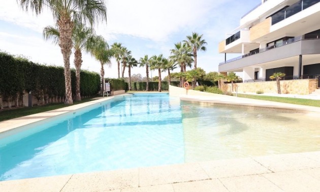 Appartement - A Vendre - Los Altos - Los Altos