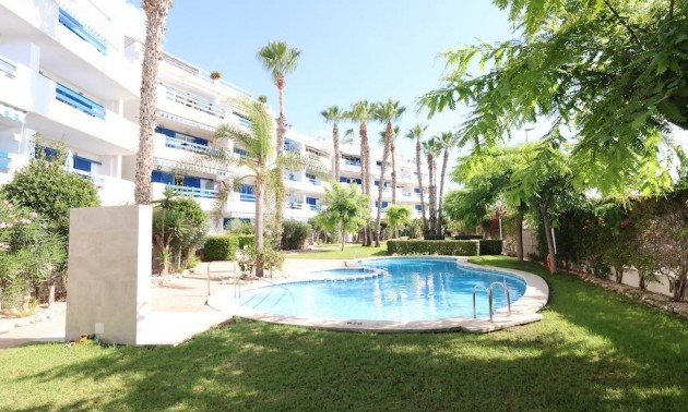 Appartement - A Vendre - Playa Flamenca - Playa Flamenca