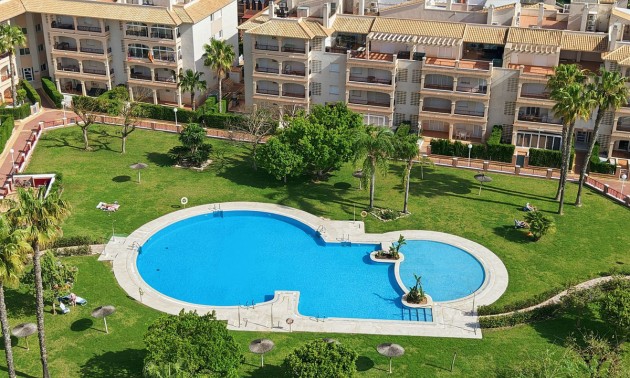 Appartement - A Vendre - Playa Flamenca - Playa Flamenca