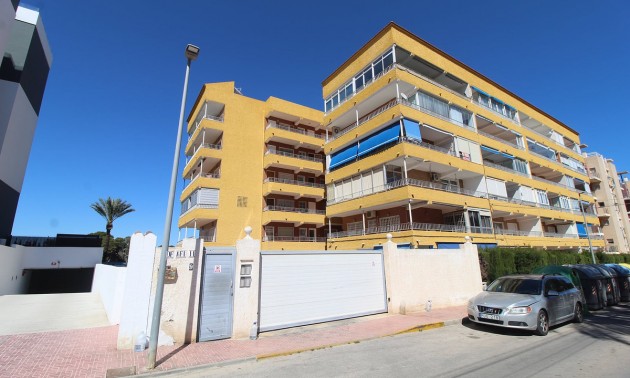 Appartement - A Vendre - Punta Prima - CSPX-56337