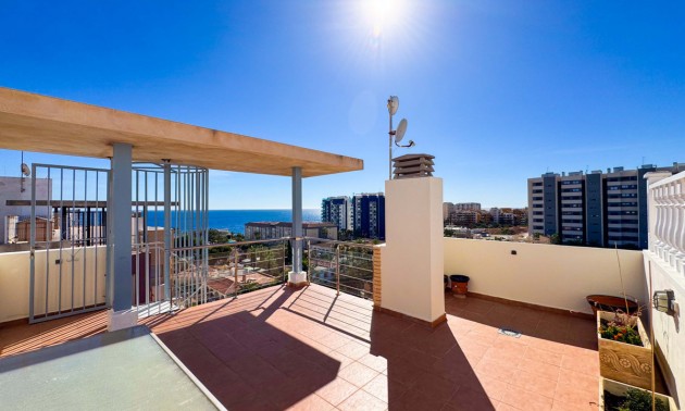 Appartement - A Vendre - Torrevieja - Torrevieja Centro