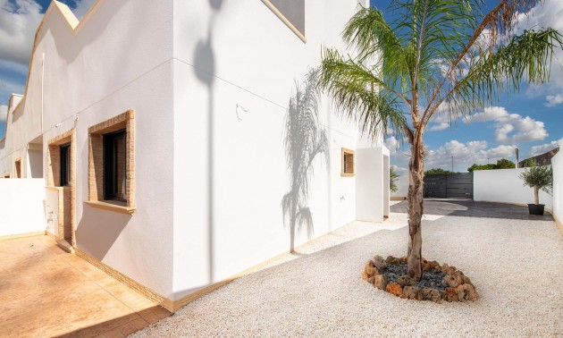 Appartement - Nouvelle Construction - Cox - San Fernando