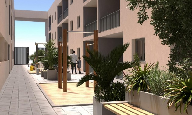 Appartement - Nouvelle Construction - San Miguel De Salinas - CSPN-81505