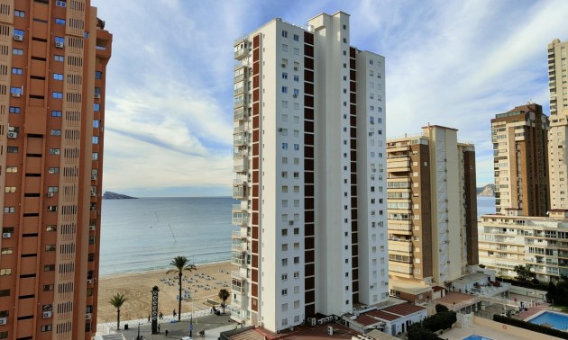 Appartement - Resale - Benidorm - Benidorm Centro