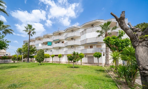 Appartement - Resale - Cabo Roig - Cabo Roig