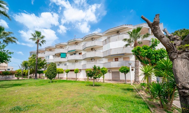 Appartement - Resale - Cabo Roig - San Jose