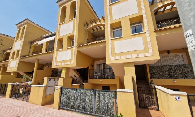 Appartement - Resale - Daya Nueva - CSPG-52713