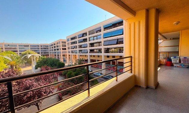 Appartement - Resale - Guardamar Del Segura - Guardamar del Segura Centro