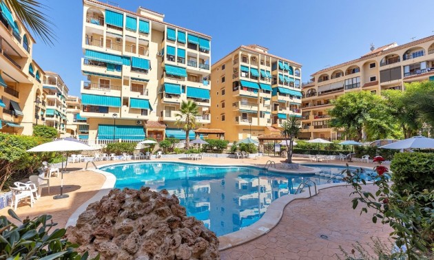 Appartement - Resale - La Mata - La Mata