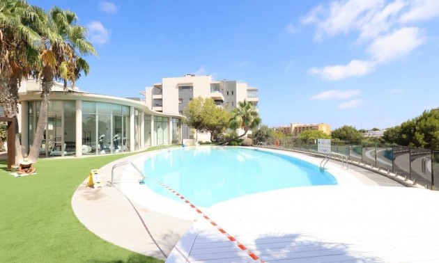 Appartement - Resale - Los Dolses - Los Dolses