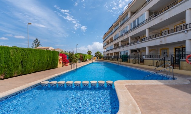 Appartement - Resale - Playa Flamenca - CSP02797