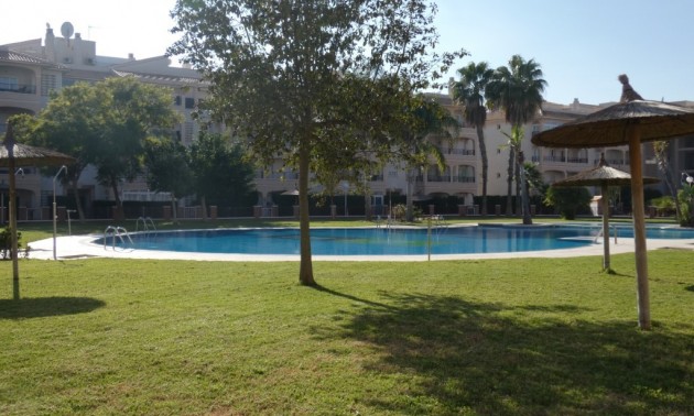 Appartement - Resale - Playa Flamenca - CSPX-31875