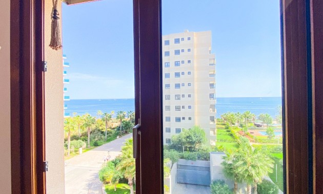 Appartement - Resale - Punta Prima - CSPX-88438