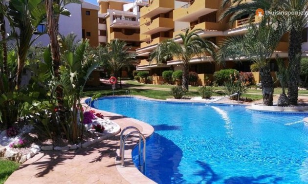 Appartement - Resale - Punta Prima - La Entrada