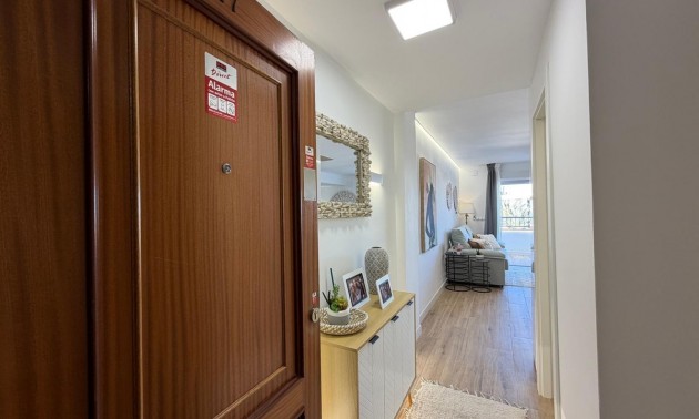 Appartement - Resale - Torrevieja - CSPX-32984