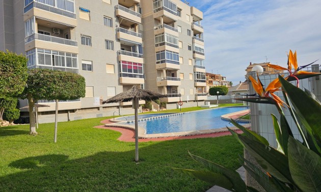 Appartement - Resale - Torrevieja - Torrevieja Centro