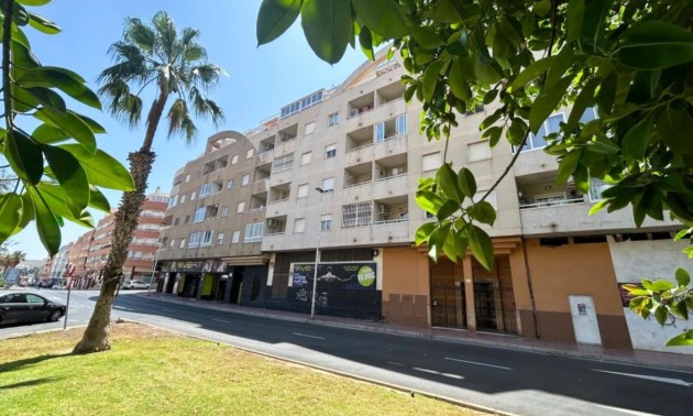 Appartement - Resale - Torrevieja - Torrevieja Centro