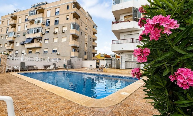 Appartement - Resale - Torrevieja - Torrevieja Centro