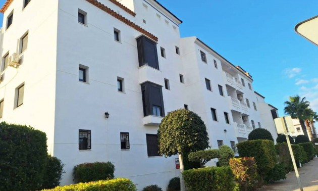 Appartement - Resale - Villamartin - CSPS-13485