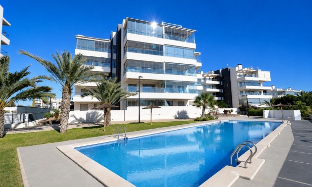 Appartement - Resale - Villamartin - Villamartin