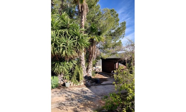 Country House - Resale - La Murada - La Murada