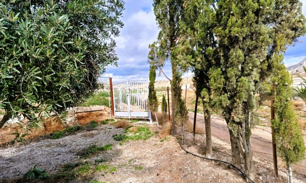 Country House - Resale - Novelda - Novelda Centro