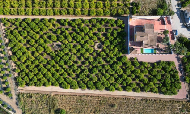 Country House - Resale - Orihuela - CSPX-43742