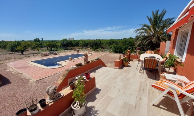 Country House - Resale - San Miguel De Salinas - San Miguel de Salinas