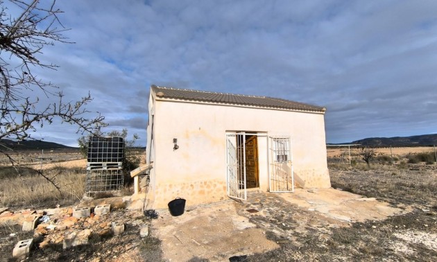 Country House - Resale - Yecla - Yecla Centro